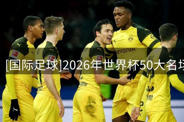 [国际足球]2026年世界杯50大名场面（20-30）